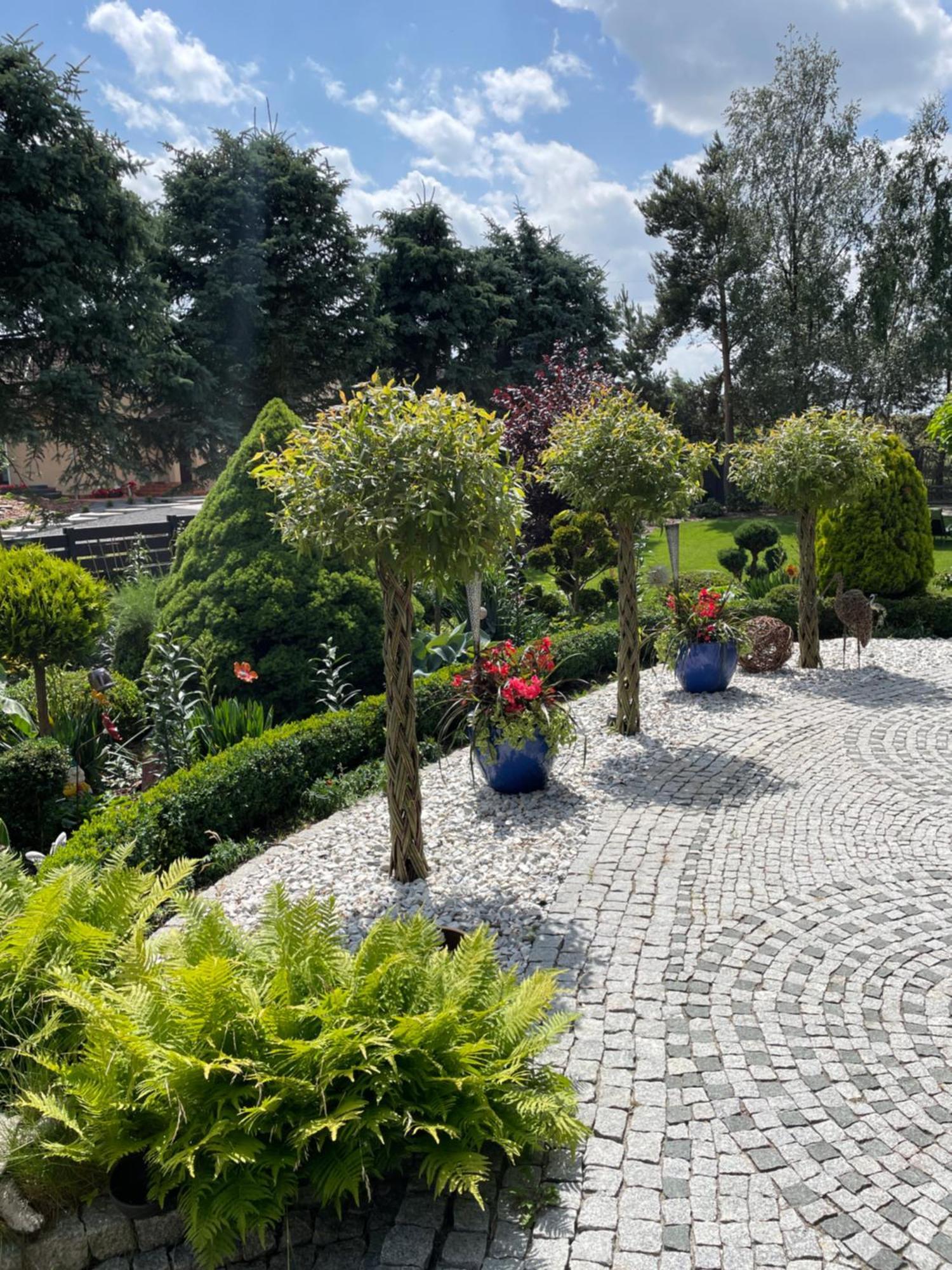 Hortus Apartament Z Klimatyzacja Boleslawiec  Luaran gambar