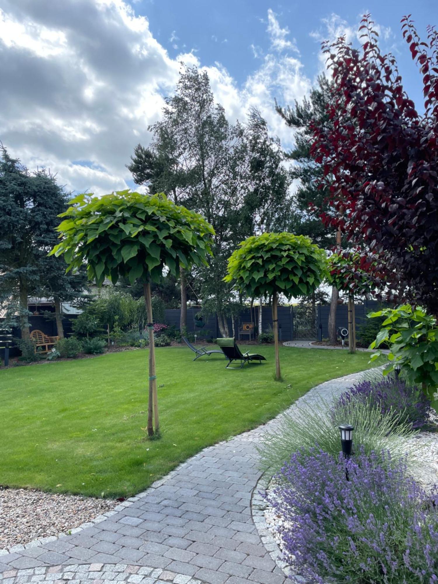 Hortus Apartament Z Klimatyzacja Boleslawiec  Luaran gambar