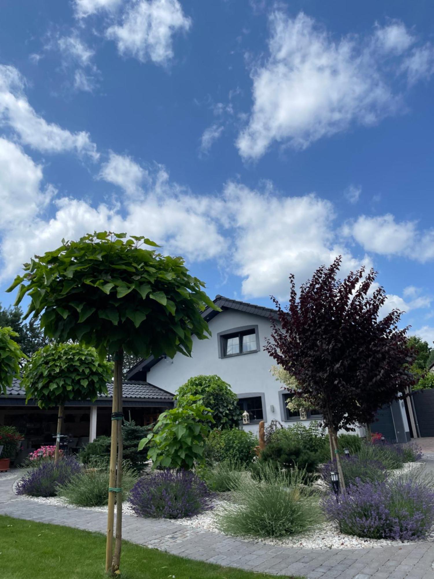 Hortus Apartament Z Klimatyzacja Boleslawiec  Luaran gambar
